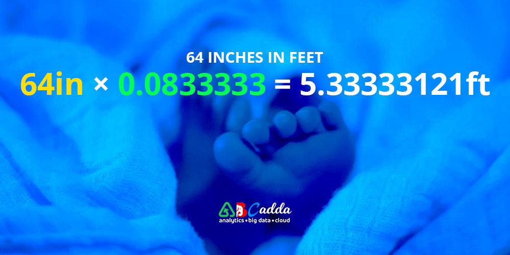 64 inches in feet