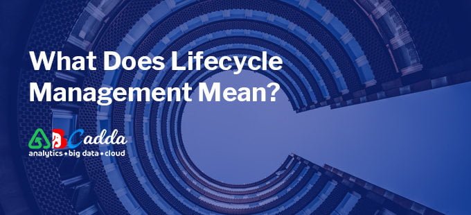 What Does Lifecycle Management Mean? 1 What Does Lifecycle Management Mean