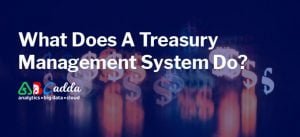 What Does A Treasury Management System Do