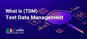 What is Test Data Management (TDM)