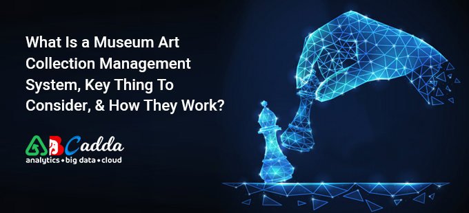 What Is a Museum Art Collection Management System, Key Thing To Consider, And How They Work?