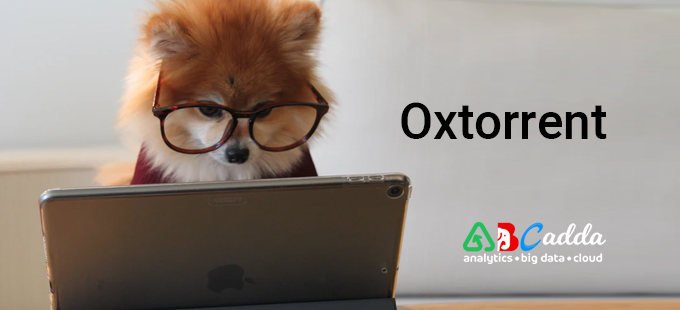 oxtorrent / ox torrent / oxtorent ac oxtorrent. nouvelle adresse novembre 1 Oxtorrent