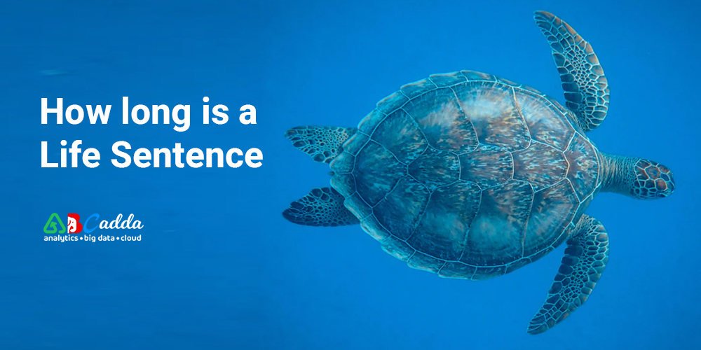 How long is a life sentence 1 How long is a life sentence